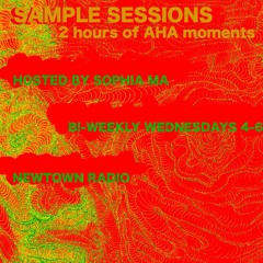 Sample Sessions(Live On Newtown Radio)