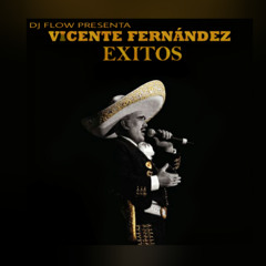 VICENTE FERNANDEZ Y SUS EXITOS BY DJ FLOW EL DEMENTE (NO INTRO)