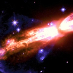 Just Another Victim Of The Current Ambient Morality