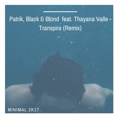Patrik, Black & Blond  Feat. Thayana Valle - Transpirah (Remix)