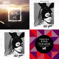 Ariana Grande-Into You VS Tiesto&Dyro-Paradise VS 3LAU-Is It Love(Arty Remix)[Matt-Mashup]