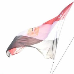 ٌلَمْ يَبَقَىٌ إلاَ الجَيْشٌ الَمَصْرِي