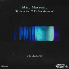 Marc Marzenit - To Love Until We Say Goodbye (THe WHite SHadow (FR) Remix)