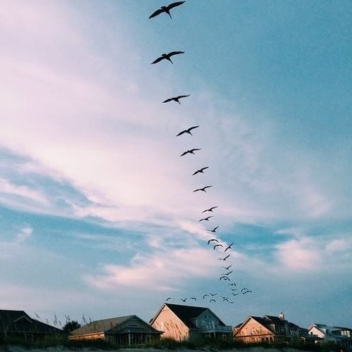 أَفَرَأَيْتُمْ مَا تَحْرُثُونَ | عبد الله الخلف