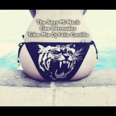 The Sexy Mi Neck - Elee Bermudez - Tribe Mix Dj Felix Castillo