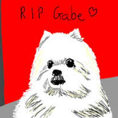 Who Did Gabe The Dog Belong To