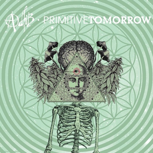 'Primitive Tomorrow' LP