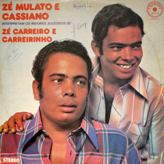 Zé Mulato e Cassiano - Os quatro espíritos da pinga (Zita Carreiro)