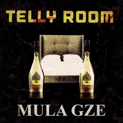 MULA GZE - Telly Room