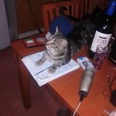 Simek - Como La Hoja Dice FT CapaBlanca (Instrumental MF Doom Accordion)