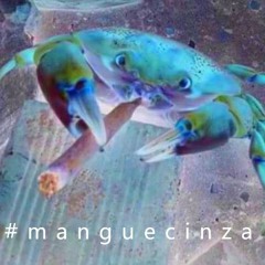 Mangue Cinza