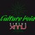 Artwork for Culture Void Ep. 9