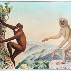 From Kafka On The Shore by Haruki Murakami