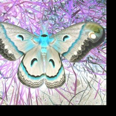 Balang- Concerto for 4 guitars and chamber orchestra (1985)