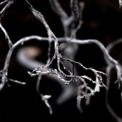 El Impulso Necesario