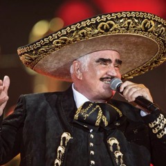 Vicente Fernández - Un Millón De Primaveras (DJ David Madrigal - Extended )BUY=FREE DOWNLOAD