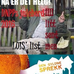 DNPP Julebord 2016luisMIX_litt_sent_men