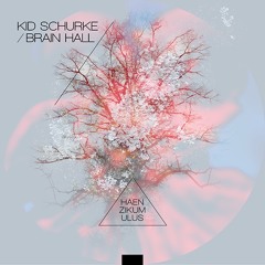 Kid Schurke & Brain Hall - Schneider am Apparat