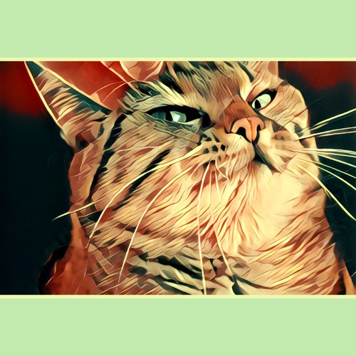 Stream Aww Yiss, Scritches by Mr Brushy Brushy | Listen online for free on  SoundCloud