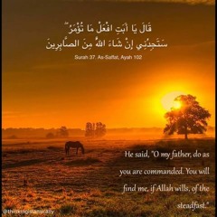 قال يا أبت افعل ما تؤمر - سورة الصافات- ناصرالقطامي