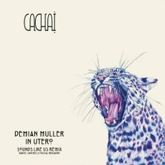 Demian Muller - In Utero [CACHAI 001]