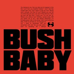 Sega Bodega - Bush Baby
