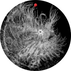 Jssst - Oh Yes Oh Yes