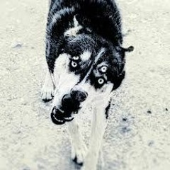 Kafabindünya - Nightwalk