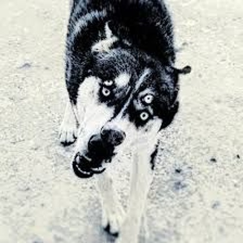 Kafabindünya - Nightwalk