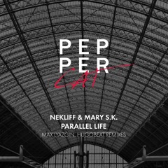 NekliFF & Mary S.K. - Parallel Life (Original Mix)