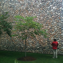 Parading Lost Souls (Demo)