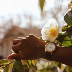 Stunt -Sterlo & Keef