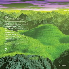 2.FEELINMET_Peyote