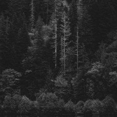 [Imaginative/Uplifting/Reflective] Intervals