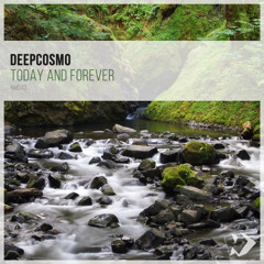 DeepCosmo - Our Last Dance (Original Mix)