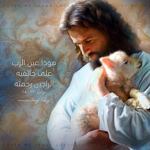 اسئلة عن الجهاد في الطريق الكرب .. الجزء الثاني