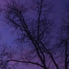 Twilight (on an Unseasonably Warm February Evening)