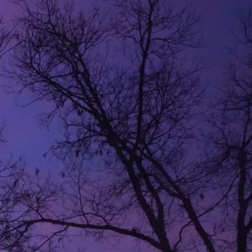 Twilight (on an Unseasonably Warm February Evening)