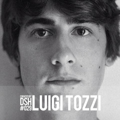 Curated by DSH #029: Luigi Tozzi