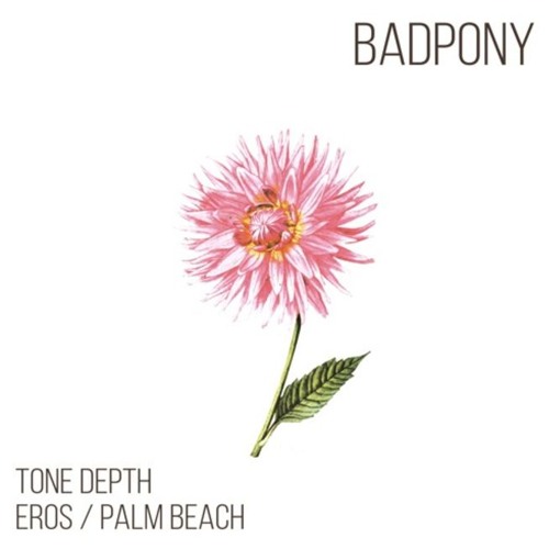 Premiere: Tone Depth - Palm Beach [Bad Pony Records]