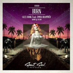 Alex Hook Feat. Emma Brammer - Burn (Sylow Remix)
