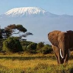 AT THE TOP OF THE KILIMANJARO (SALVADOR NAVARRA).MP3