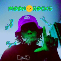 B-niGs \Dunk-B/Grizzle