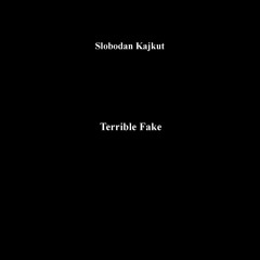 Terrible Fake (pno, drums), 2013, excerpt