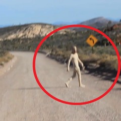 AREA(954) FT.Shabba Schwartz