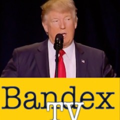 Bandex (feat. Donald Trump) - Trouble