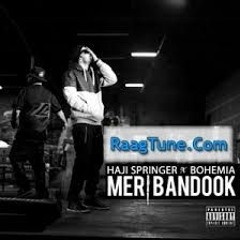 MERI BANDOOK -  PARDHAAN MIX