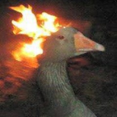 DuckQuack