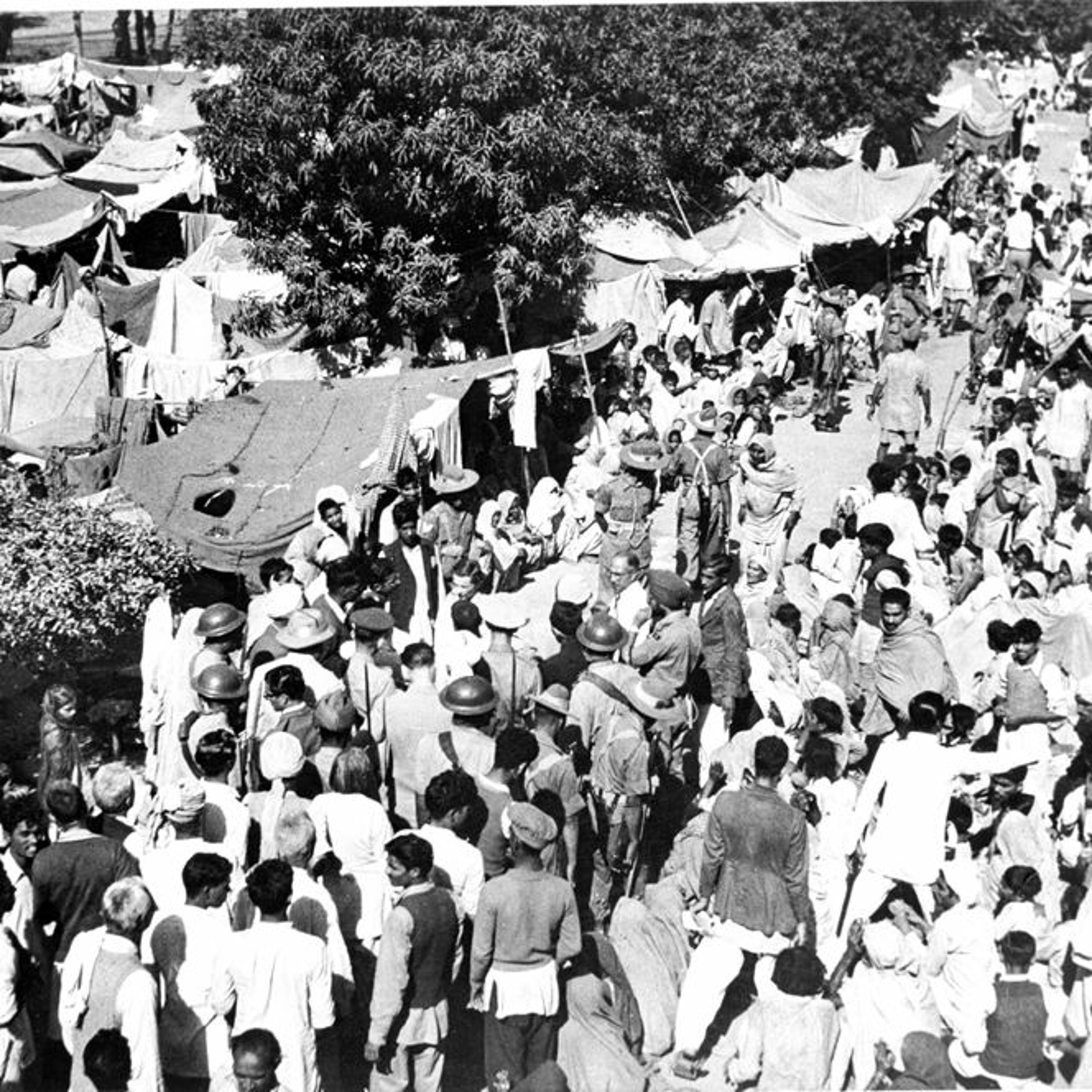 The consequences of migration during Partition / E2 episode artwork