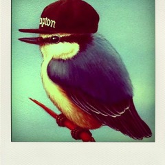 𝓖𝓗𝓔𝓣𝓣𝓞 𝓑𝓘𝓡𝓓